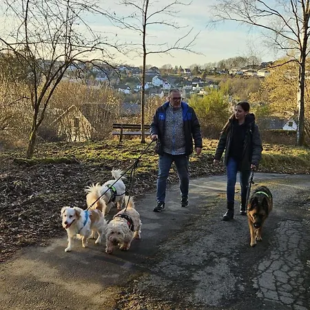 Sander By Interhome Kirchen (Rhineland-Palatinate)