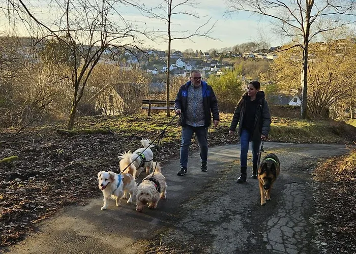 Sander By Interhome Kirchen (Rhineland-Palatinate)