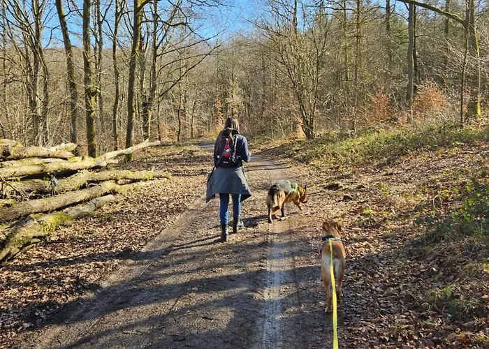 Sander By Interhome *