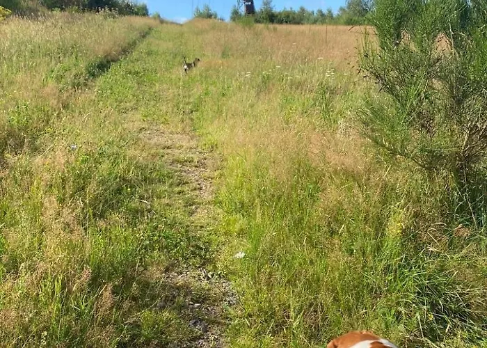 Sander By Interhome Kirchen (Rhineland-Palatinate)